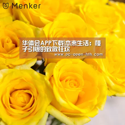 华体会APP下载