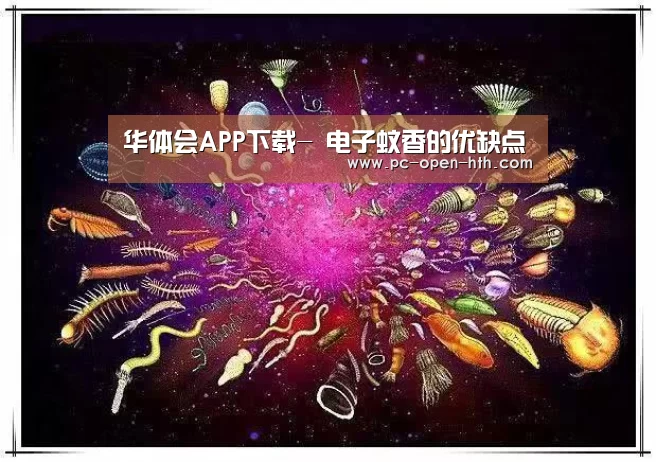 华体会体育官网入口