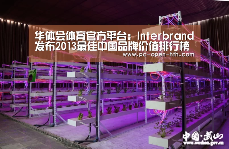 华体会体育官网入口