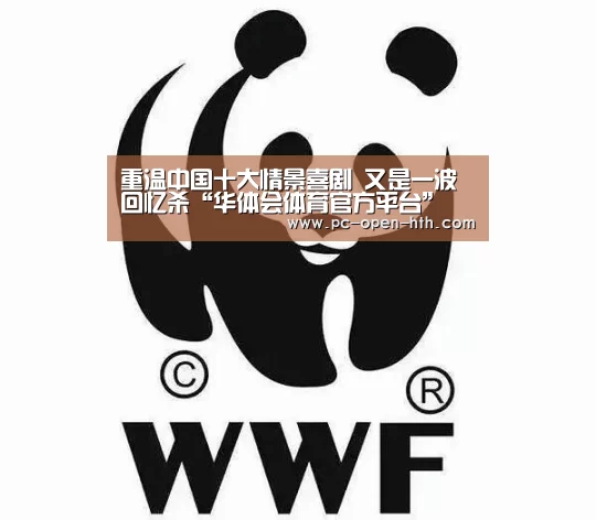 华体会体育APP下载官网